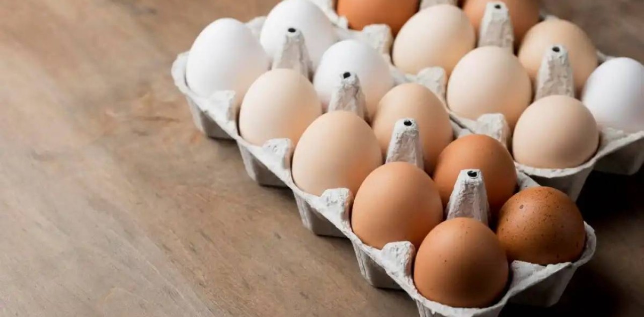 Ел аумағына жұмыртқа әкелуге уақытша тыйым салынды