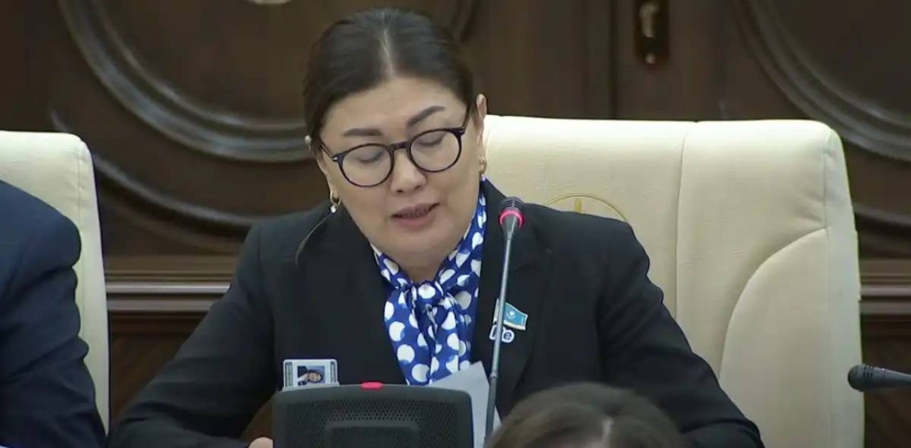 Креативті индустрияға салықтық режимді күшейту жаңа жобалар санын қысқартуы мүмкін – депутат