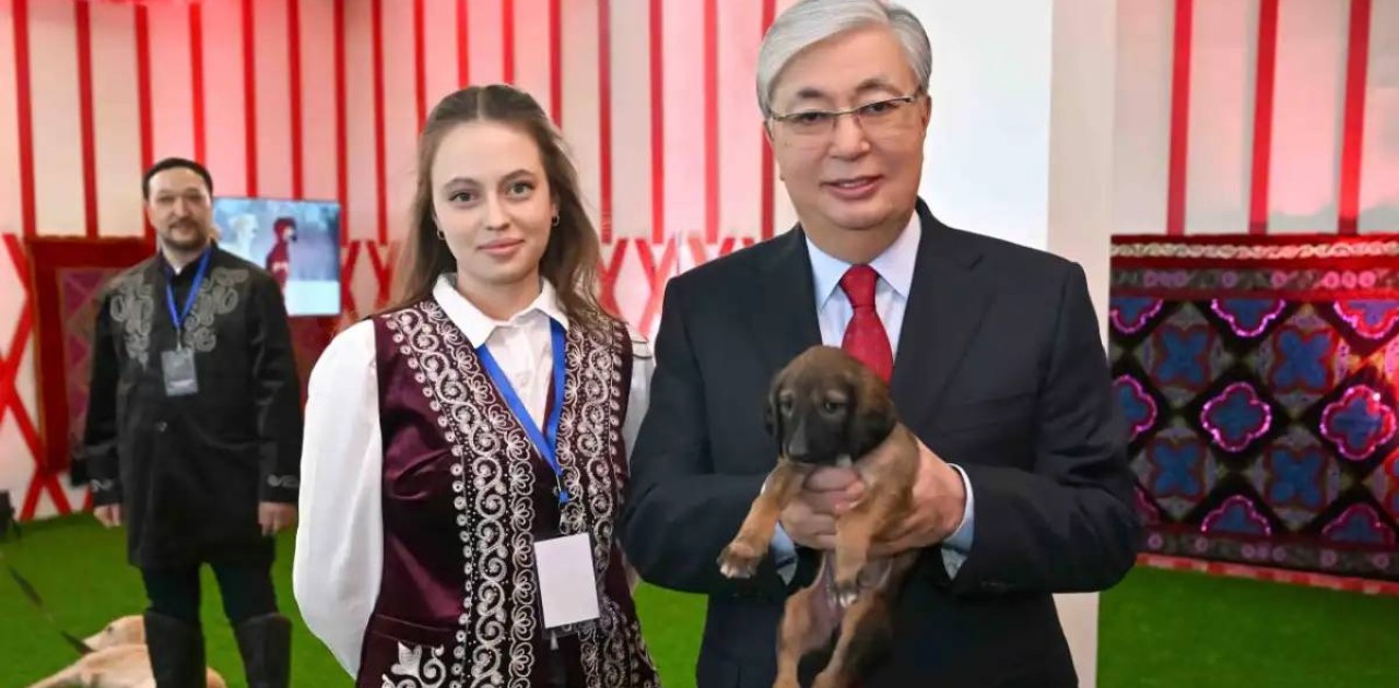 Тоқаев тазы мен төбетті кеңінен насихаттау жөнінде тапсырма берді