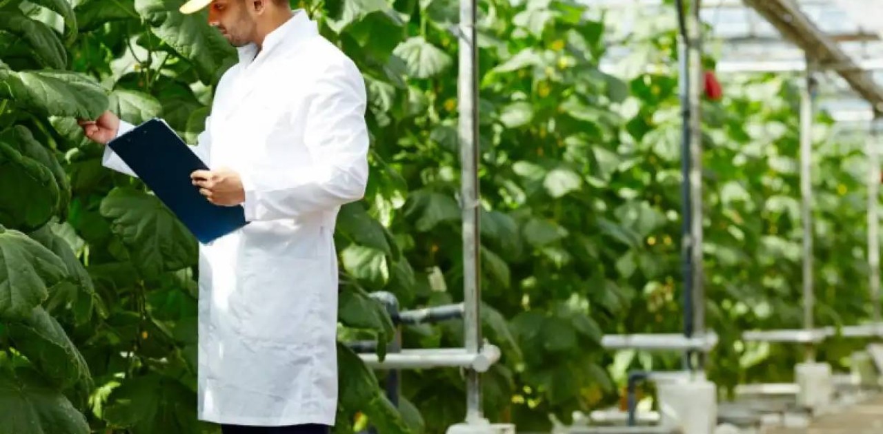 Агроөнеркәсіптік кешенде жұмыспен қамтамасыз ететін 285,5 мың өндіруші жұмыс істейді