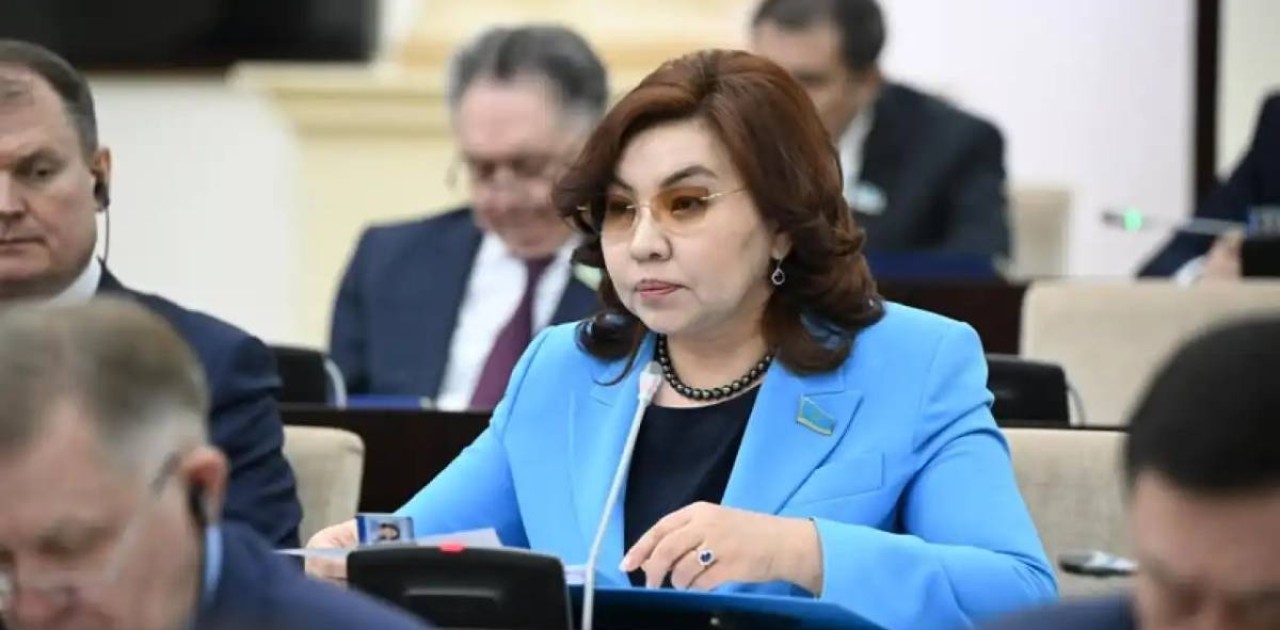 Депутаттық сауал: Сенатор мүмкіндігі шектеулі жандардың мәселелерін көтерді