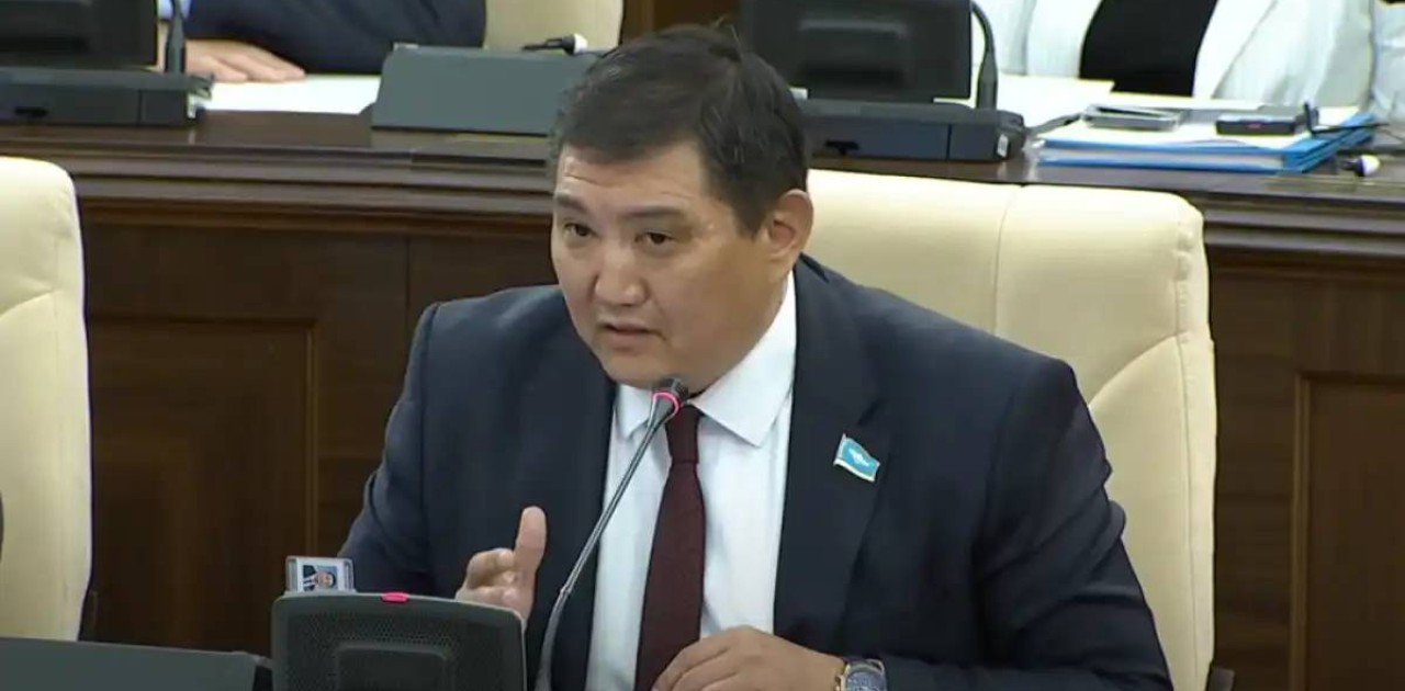 «Телефонмен сөйлесіп жатырсыз ба?»- депутат вице-премьерге ескерту жасады