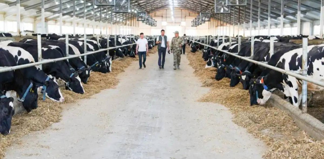 Еліміз ет экспортын жылына 50 мың тоннаға дейін арттыруды жоспарлап отыр