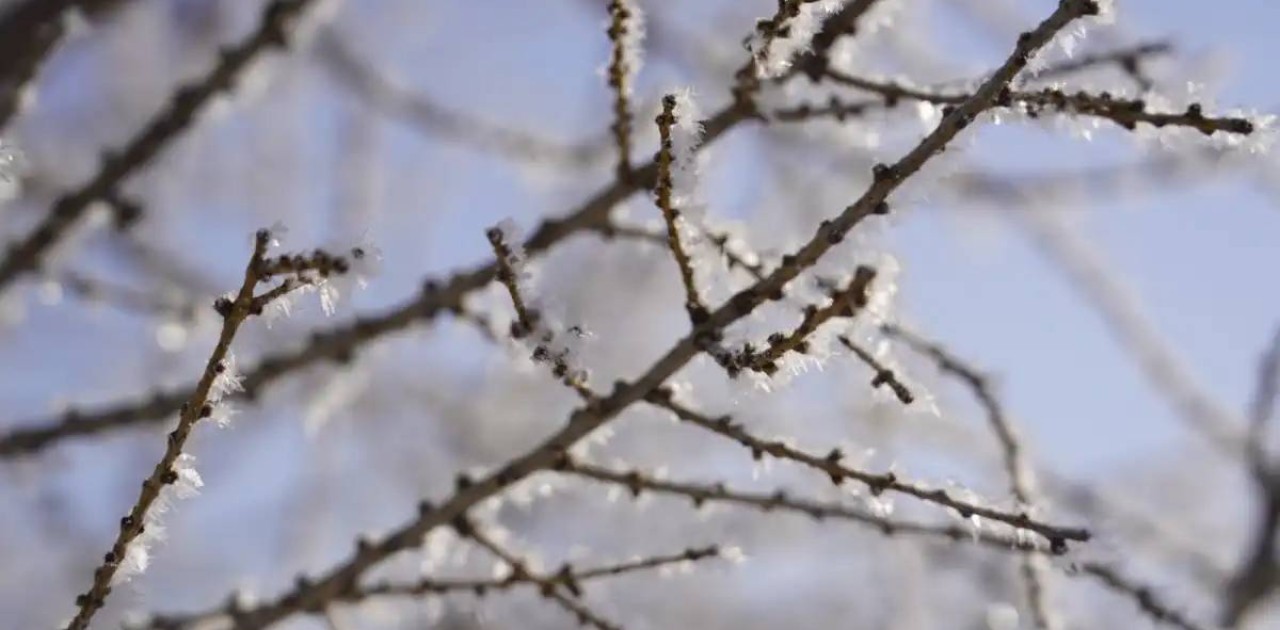 «Қар аралас жаңбыр»: еліміздің барлық өңірінде күн суытады
