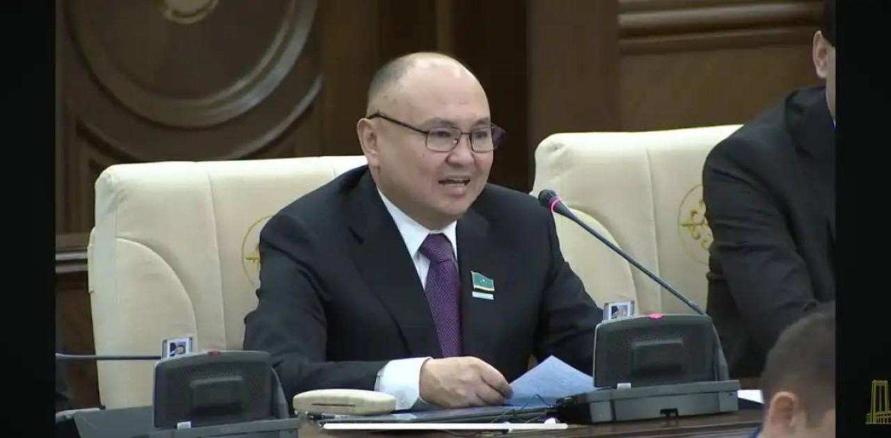 «Бос жатқан жер жау шақырады»: депутат Сайыров шекара маңындағы ауылдардың мәселесін көтерді