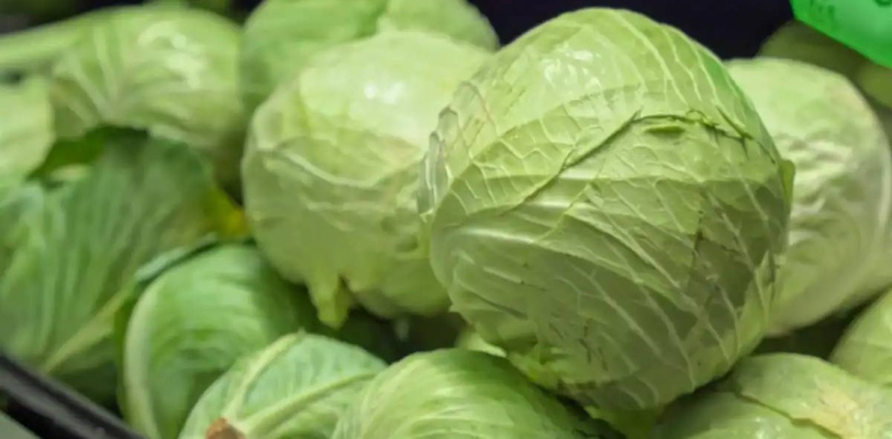 Шекарада ерте пісетін көкөністерге арналған «жасыл дәліз» ашылады