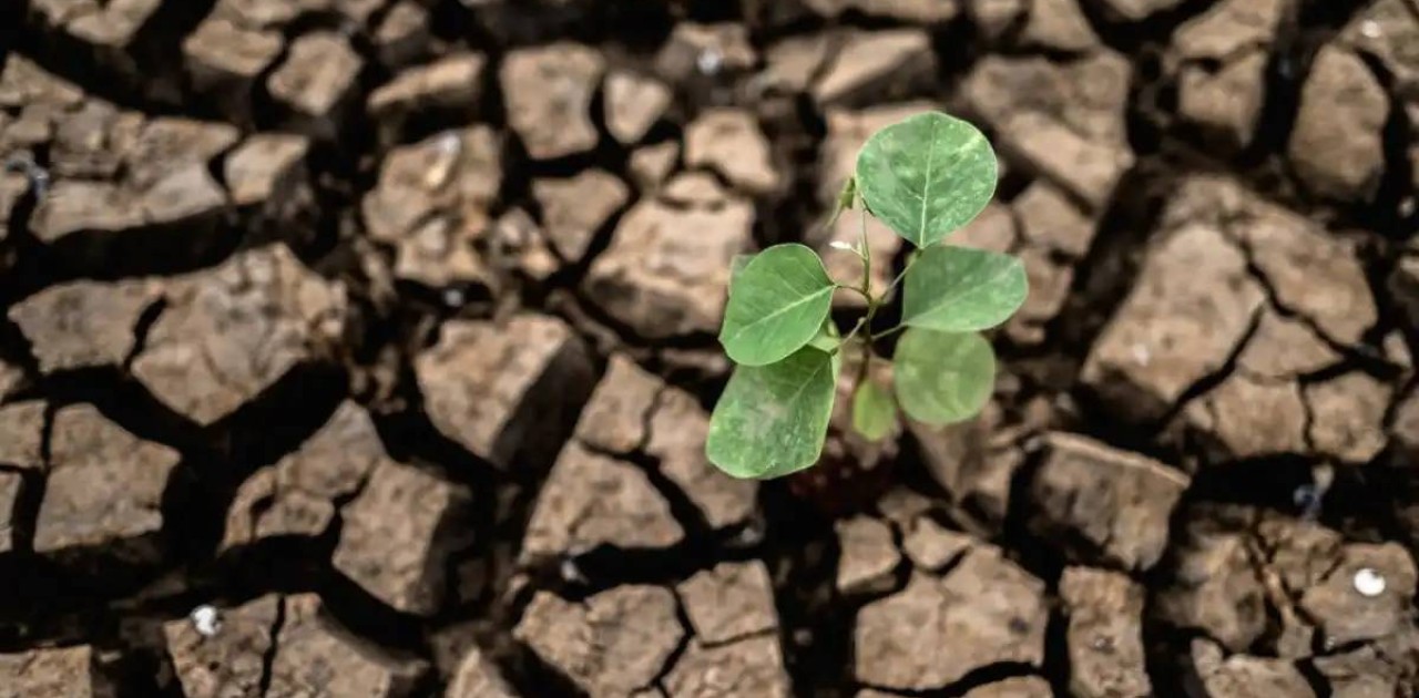 Елімізде биыл жаз қатты ыстық әрі құрғақ болады деп күтіліп отыр