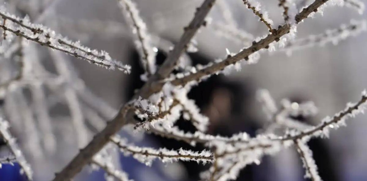 Бүгін ауа райы қандай болады