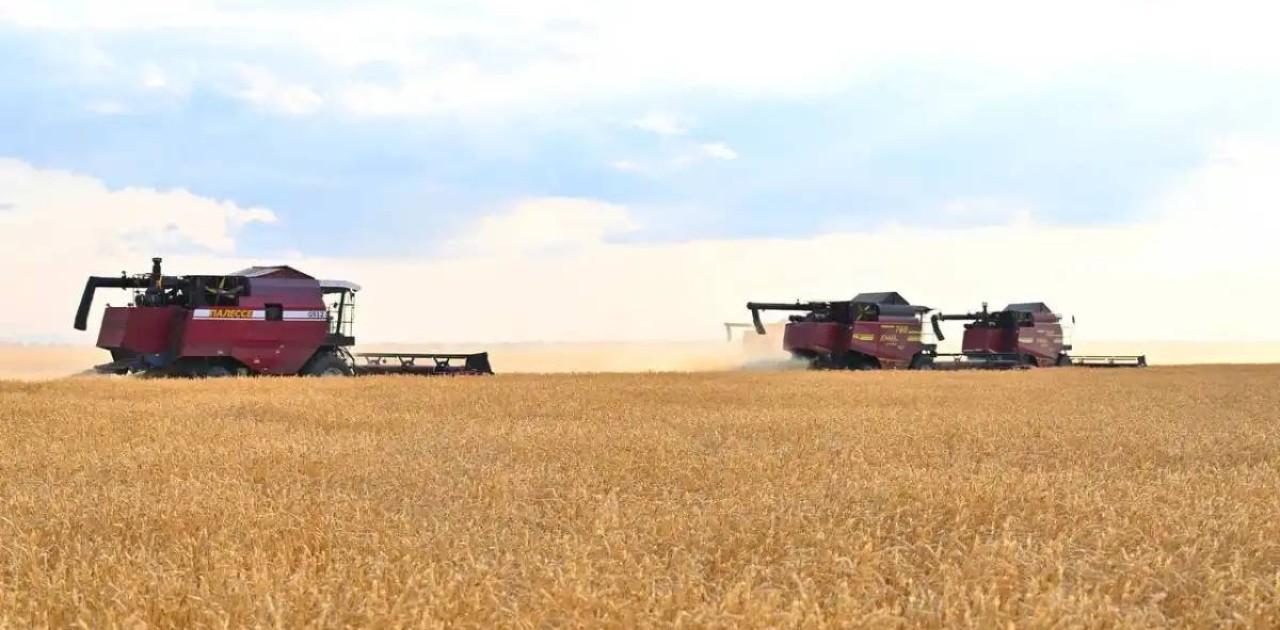 Үкімет еліміздің астық саласын қолдауға 40 млрд теңге бөлді