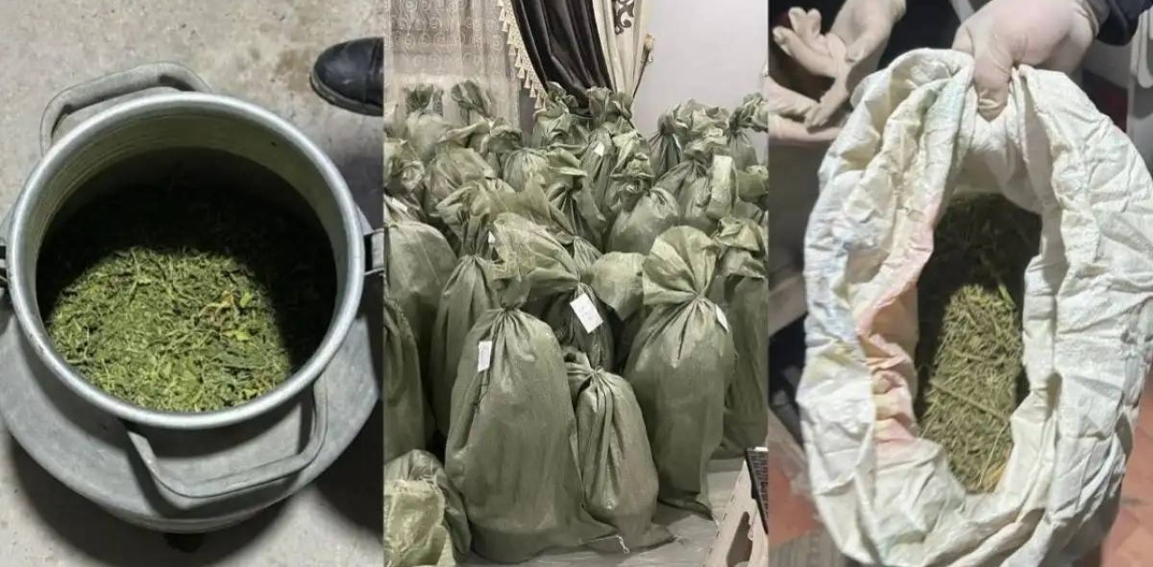 Қызылорда облысында заңсыз айналымнан 87 келіге жуық есірткі тәркіленді