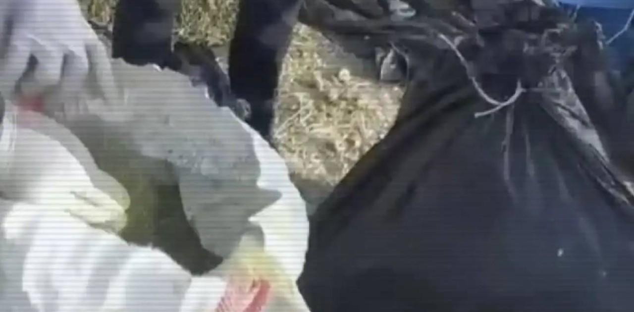 Жамбыл облысында шөп астынан 100 кг марихуана анықталды