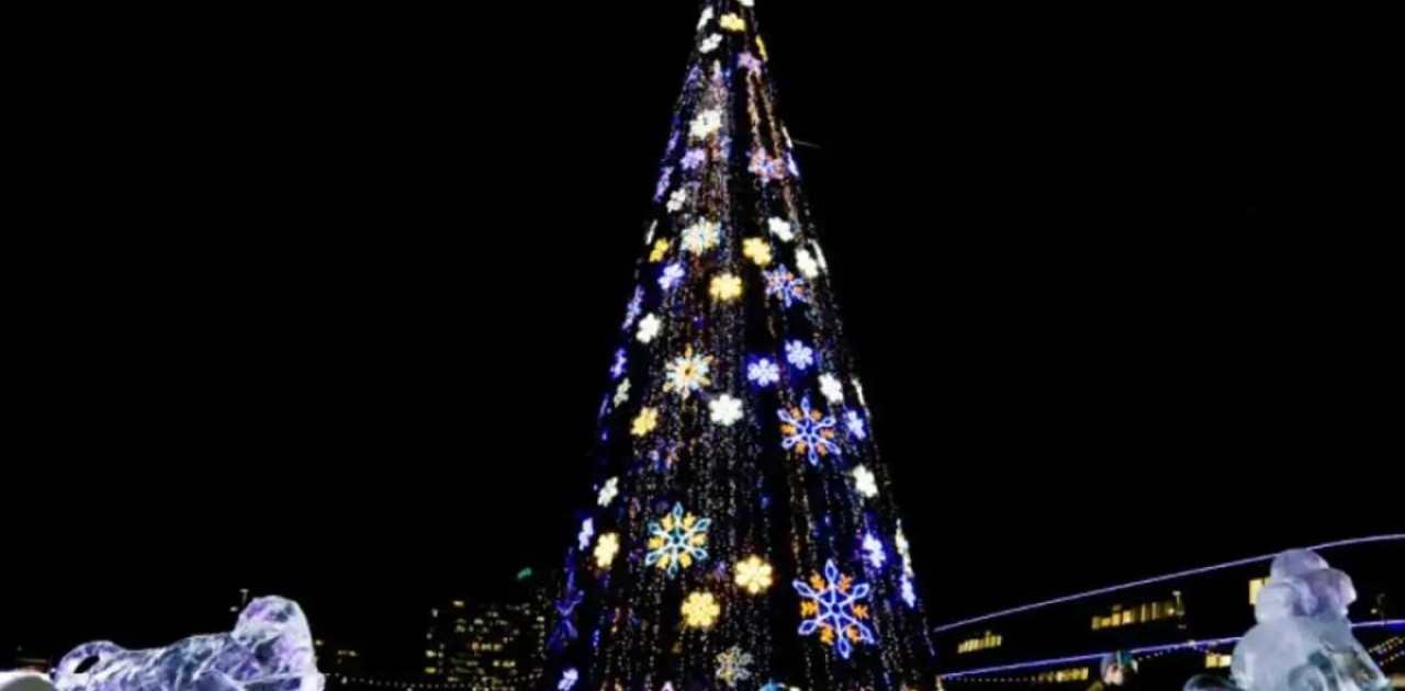 Шымкенттегі бас шырша өртенді (ВИДЕО)