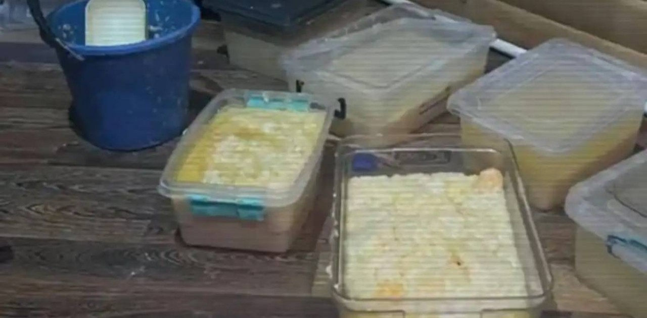 ІІМ: Синтетикалық есірткі өндірумен және өткізумен айналысқан топ жойылды