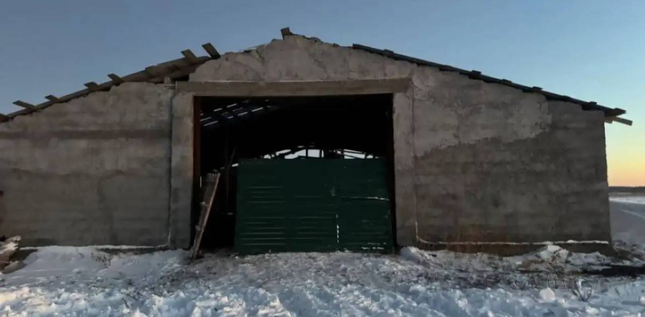 Ақмола облысында 59 жылқы ұрлаған күдікті ұсталды