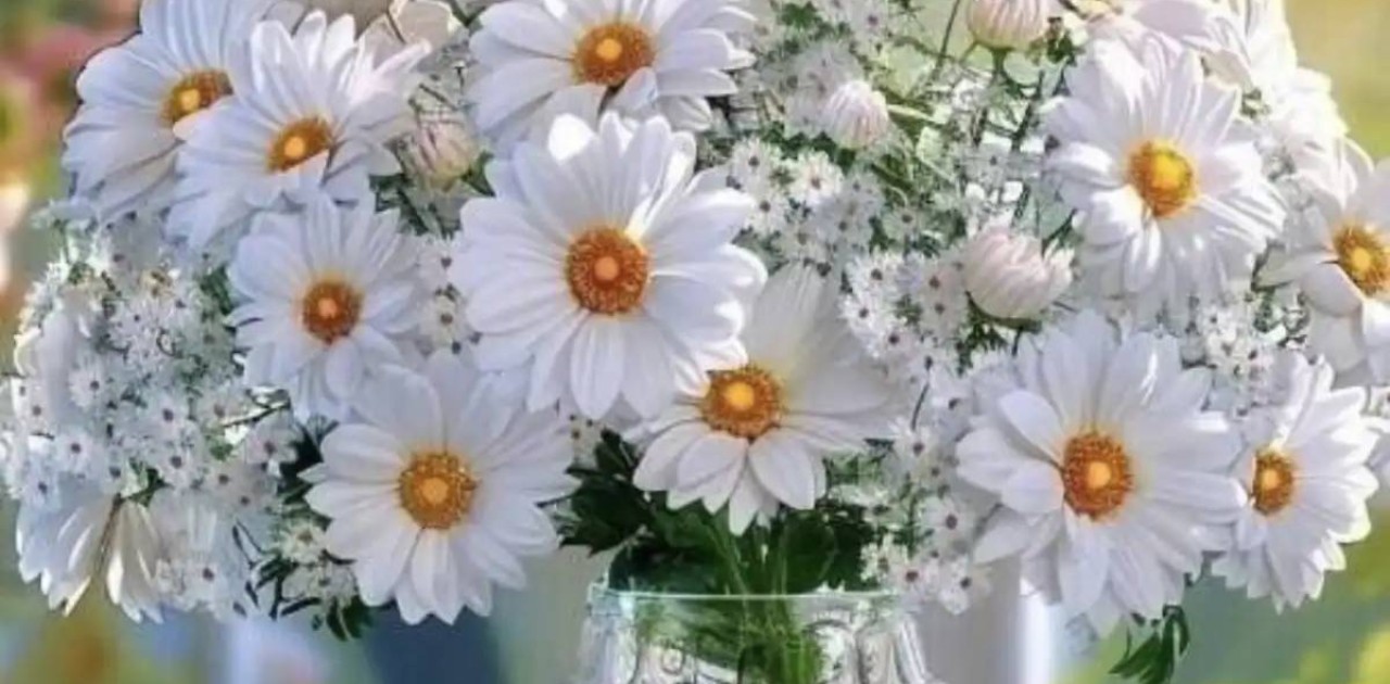 8 наурызға қандай сыйлық жасауға болады