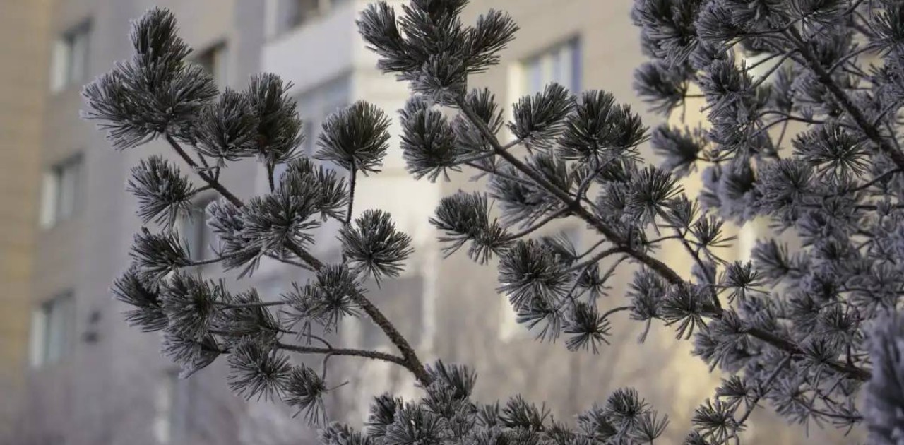 Бүгін еліміздің ірі қалаларында ауа райы қандай болады