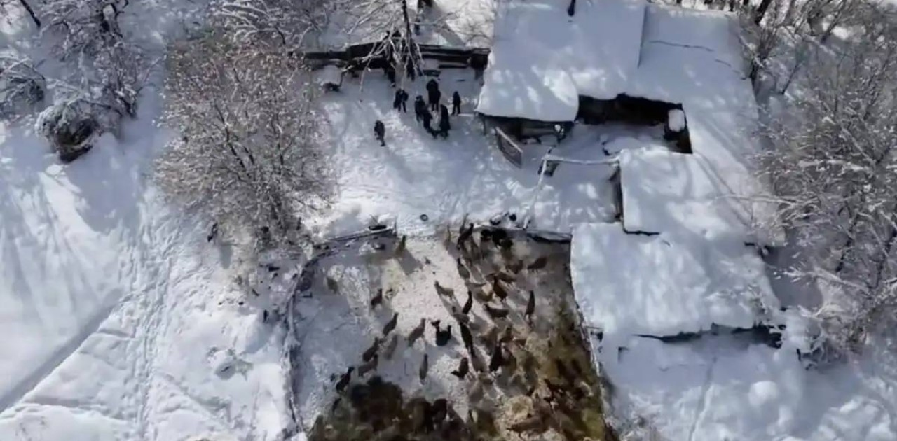 Есірткі таратты деген күдікпен бірнеше адам ұсталды