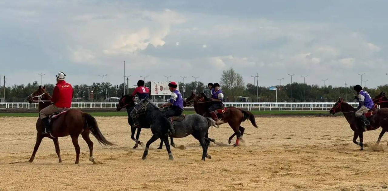 Дүниежүзілік көшпенділер ойыны: Ұлттық құрама аударыспақтан 5 алтын алды