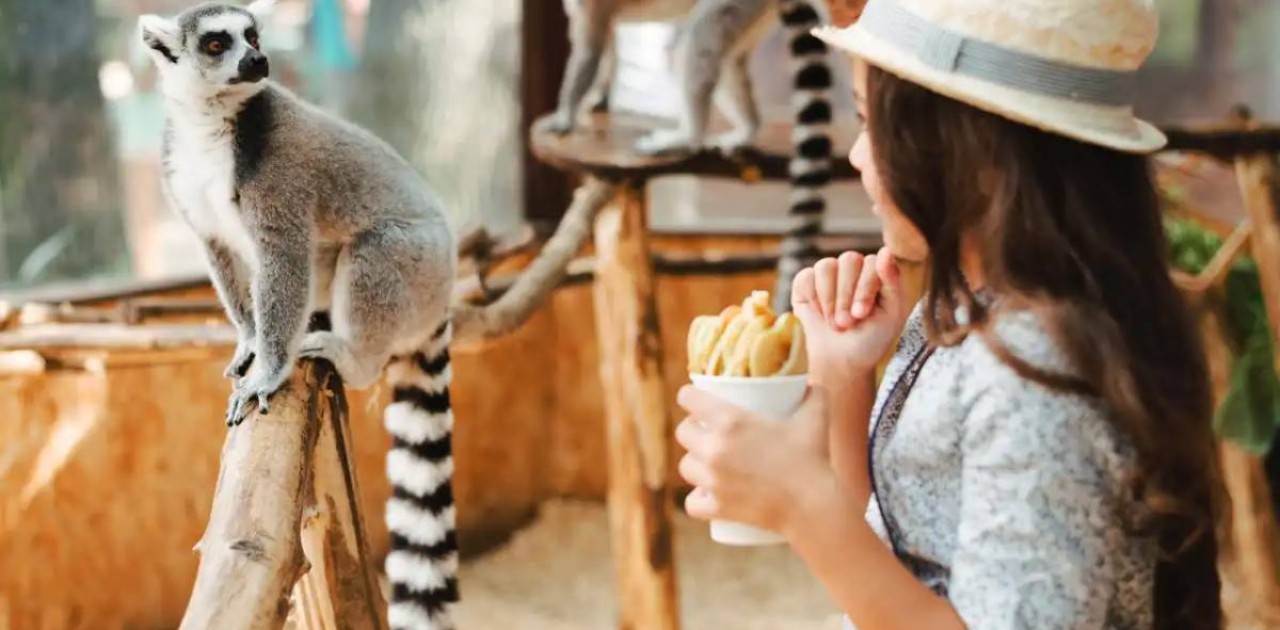 Алматы зообағы жаңа Алатау қаласына көшіріледі