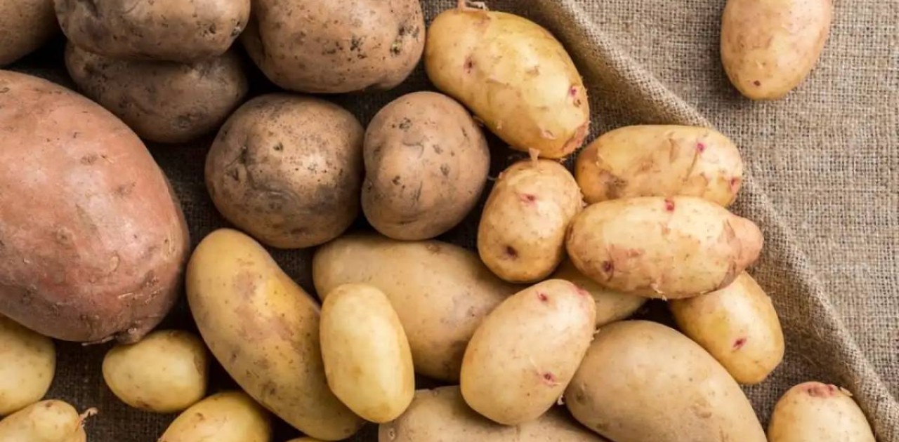 Астанада картоп жетіспеушілігі жоқ – басқарма