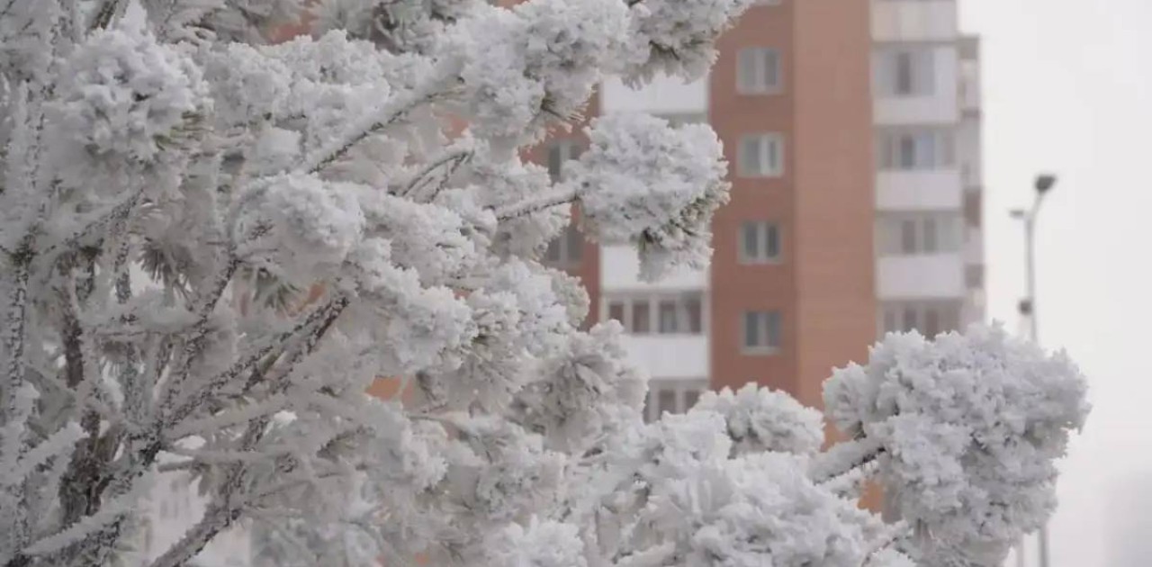 Алдағы күндері 35 градусқа дейін аяз болуы мүмкін