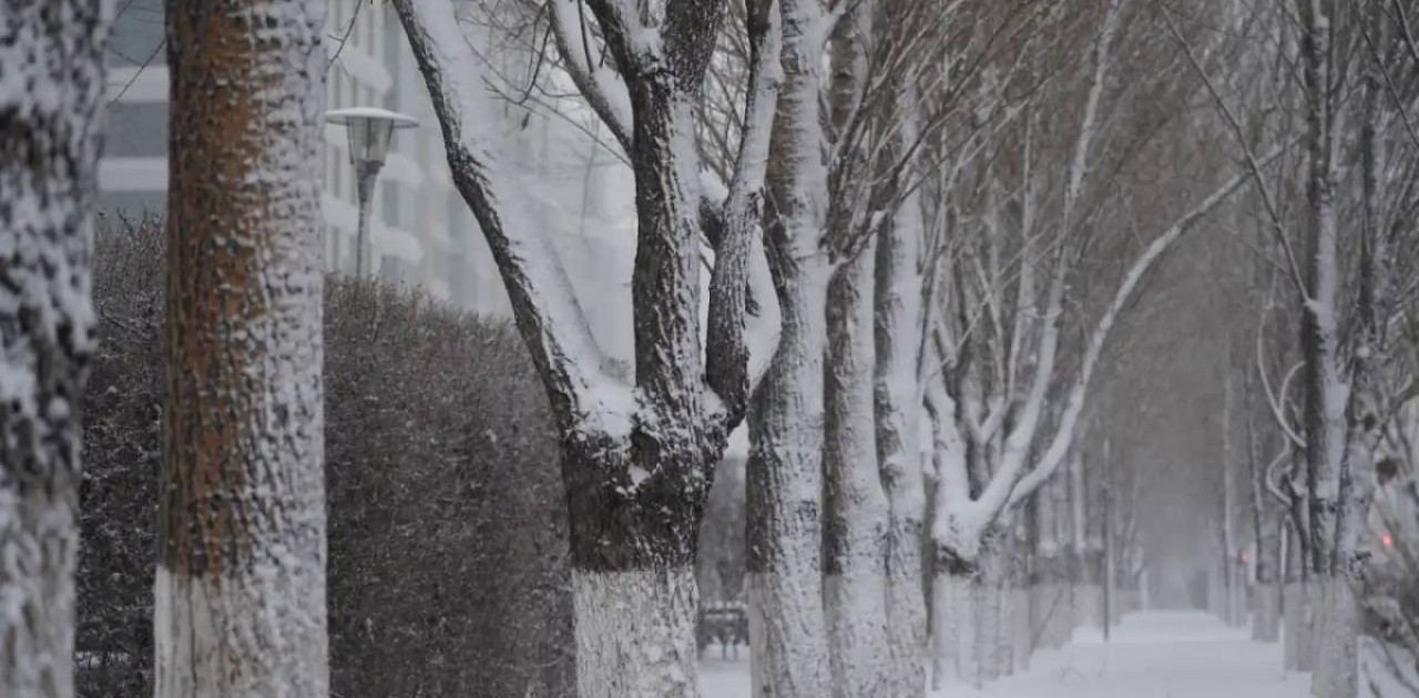 Ауа райына байланысты 14 өңірде дауылды ескерту жарияланды