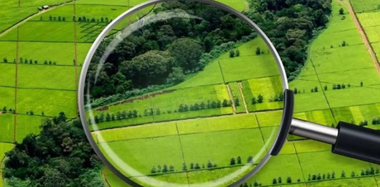 2025 жылы мемлекет тағы 2 млн га жерді қайтарып алады