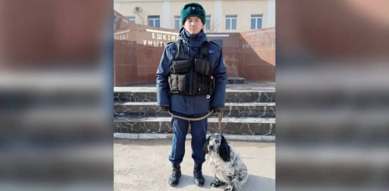 Қызметтік иттердің көмегімен 40 келіден  астам есірткі тәркіленді