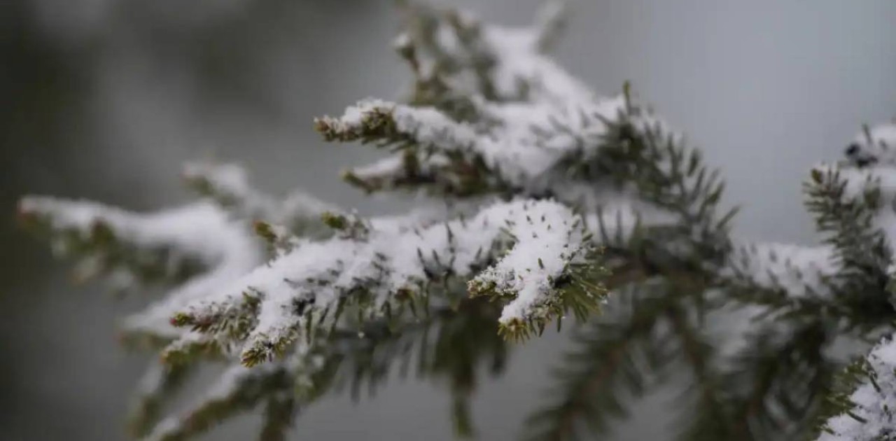 Демалыс күндері күн райы қандай болады