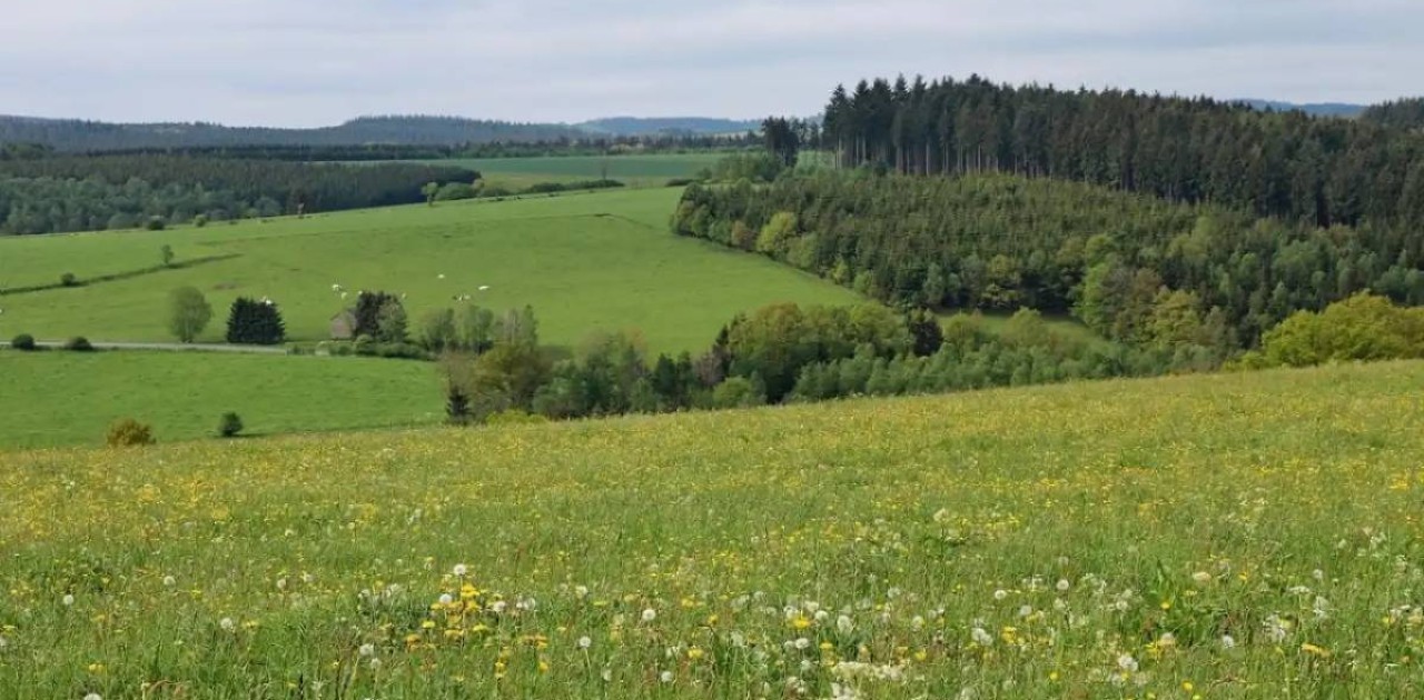 Биыл 2 млн гектардан астам жер мемлекеттік меншікке қайтарылды