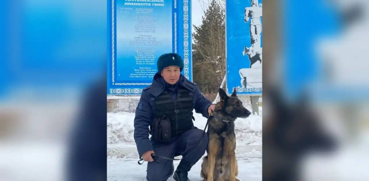 Қызметтік ит сарбаздарға  есірткі табуға көмектесті