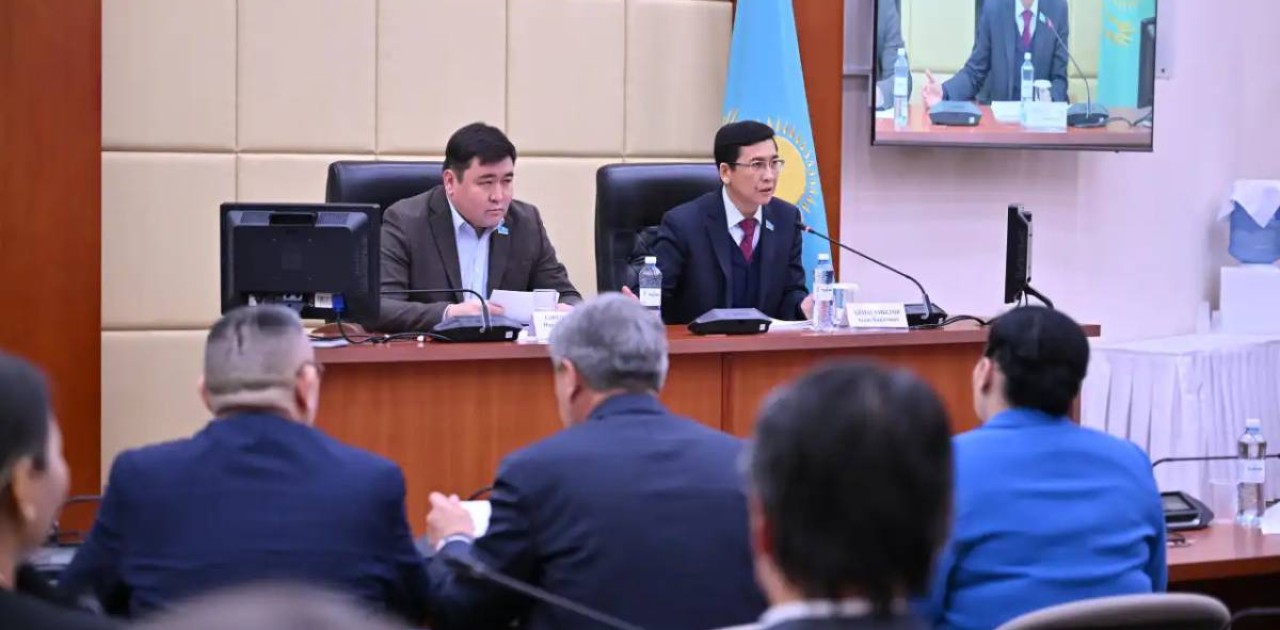 Мәжілісте креативті индустрияны дамыту мәселелері талқыланды