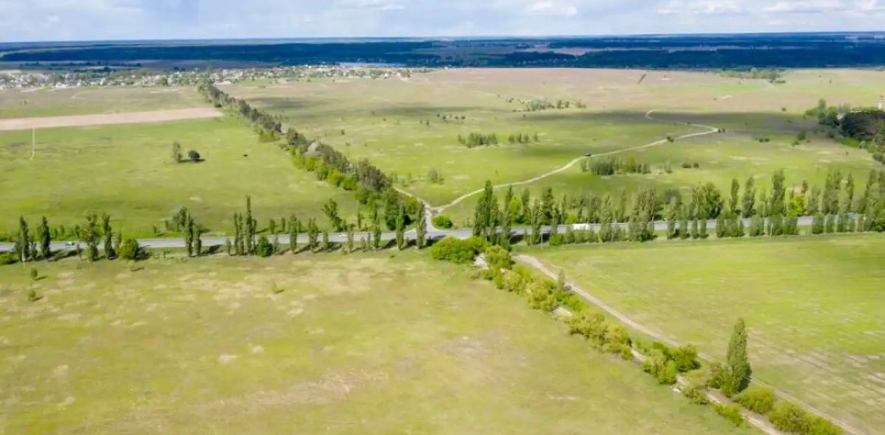 БҚО-да шаруа қожалықтары жер телімдерін мақсатсыз пайдаланған