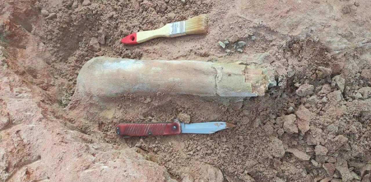 Тәжікстанда 85 миллион жыл бұрын өмір сүрген динозаврдың сүйегі табылды