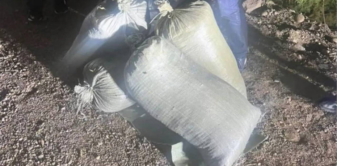 ҰҚК ірі көлемде есірткі сатпақ болған қазақстандықтарды қолға түсірді