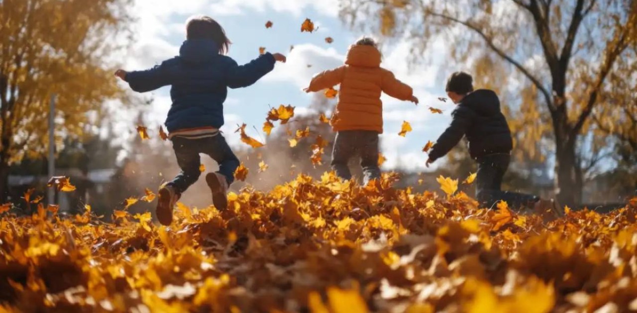 Оқушылар күзгі каникулды қалай тиімді өткізе алады
