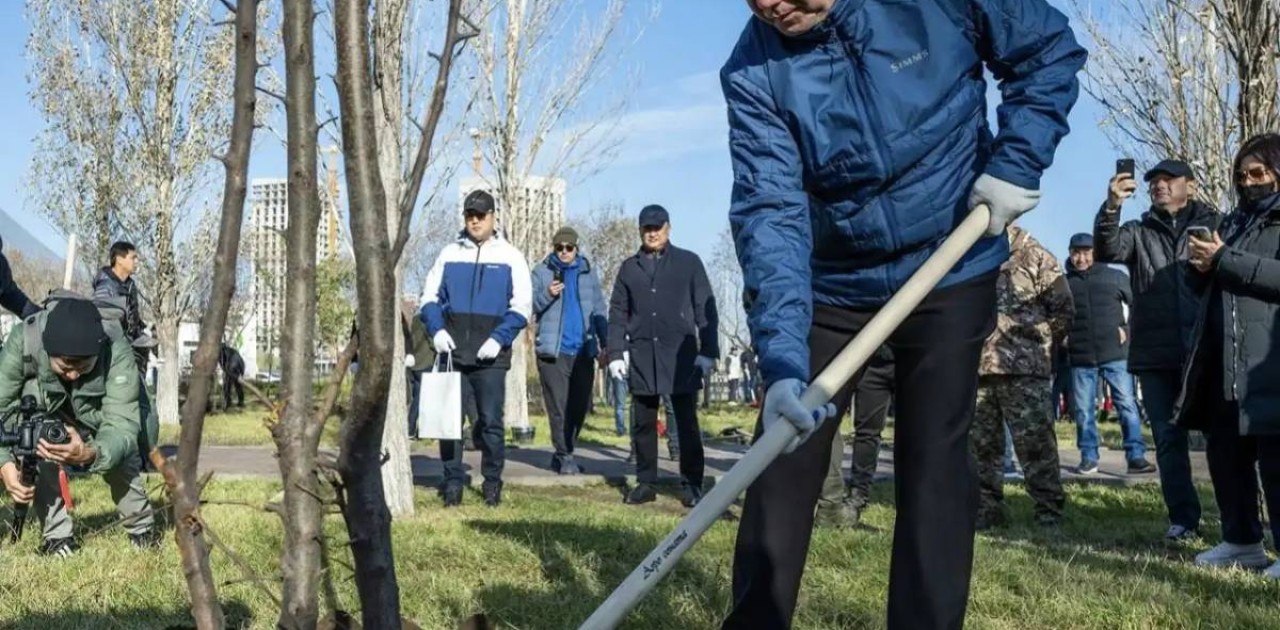 Елордада Мәжіліс депутаттары 300 ағаш отырғызды