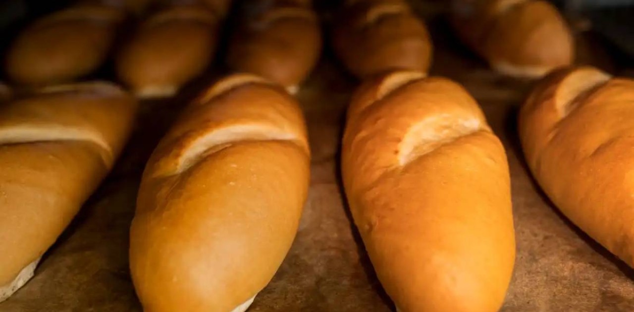 Биыл 329 мың тонна нан өндірілді