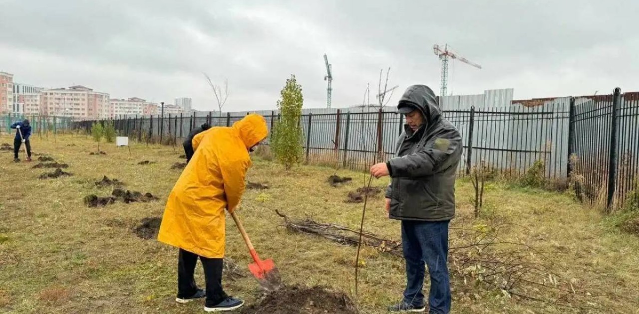 Астанада 2,5 мың ағаш отырғызылды
