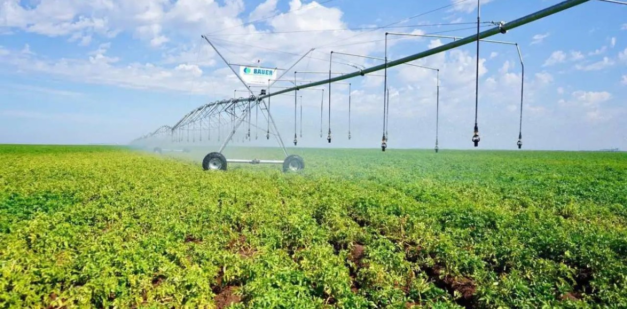 Барлық аймақта суару маусымы аяқталды