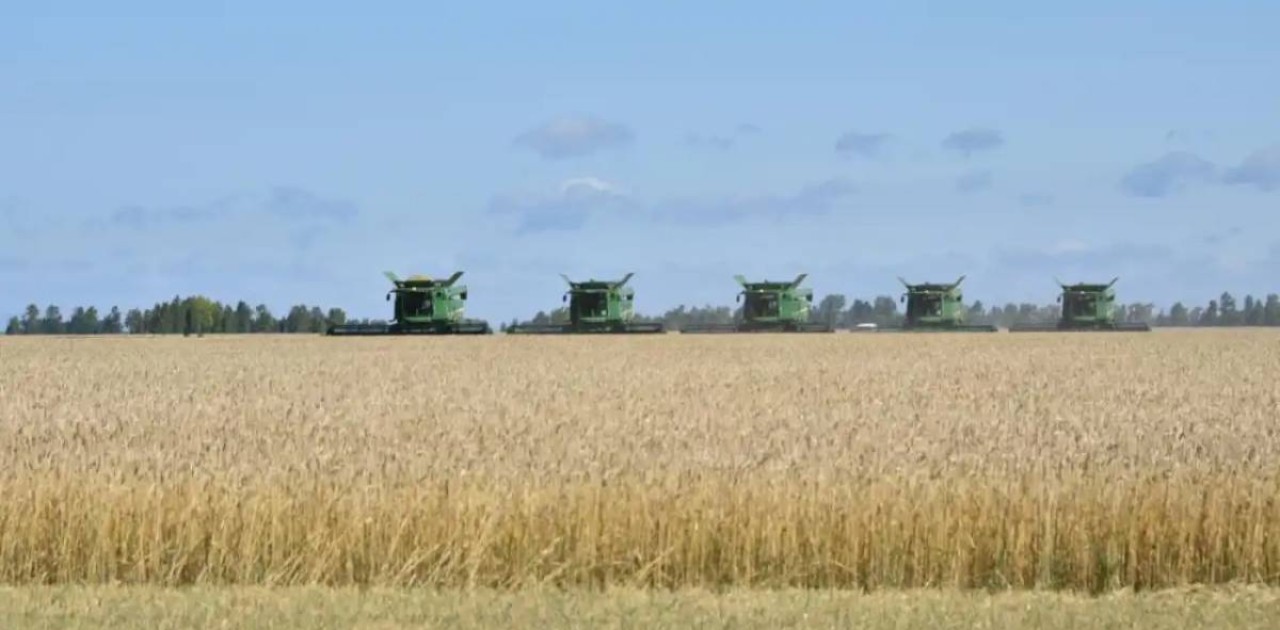 Қазақстанда 24 млн тоннадан астам астық бастырылды