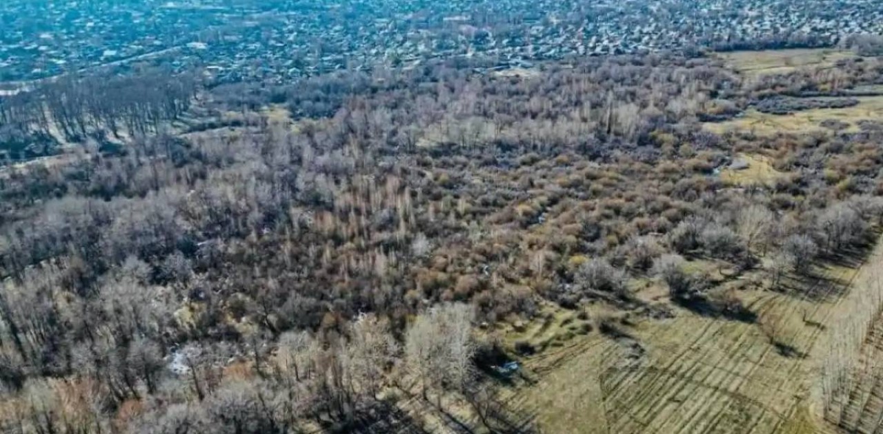 Талдықорғанда заңсыз берілген жерлер мемлекетке қайтарылды