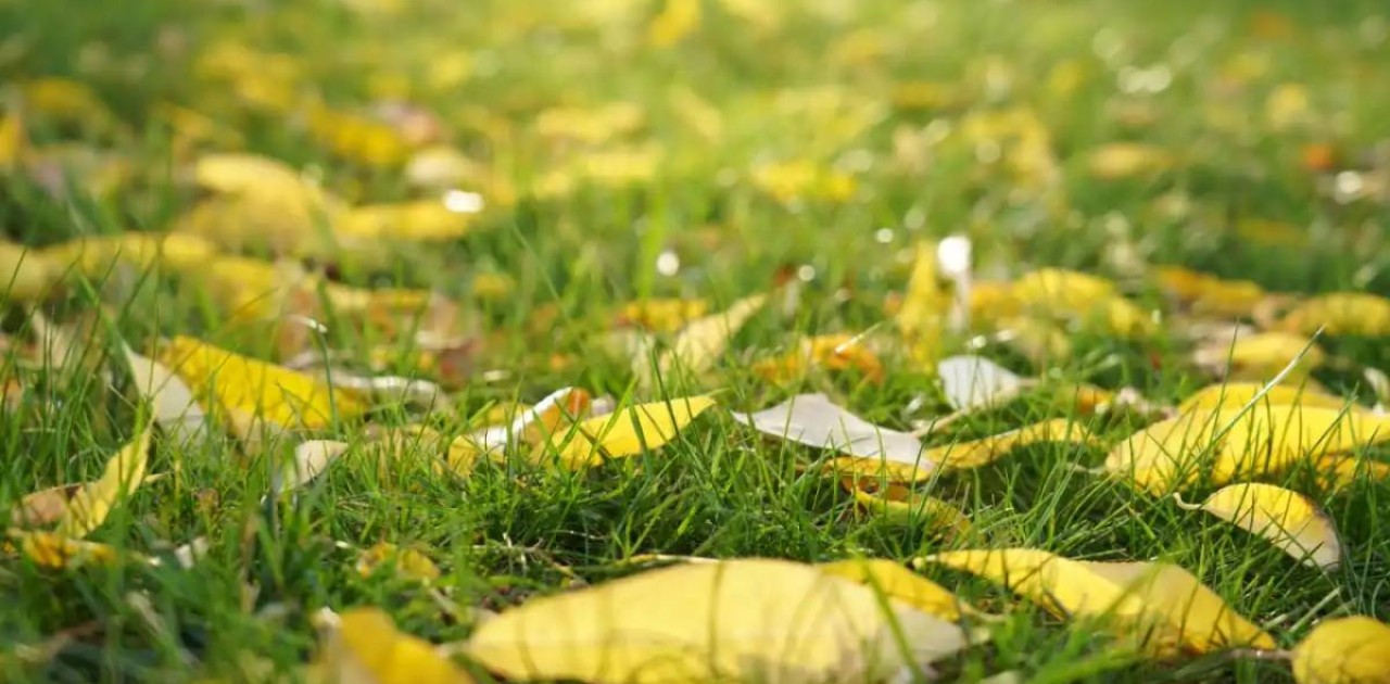 Синоптиктер дүйсенбіге арналған ауа райы болжамын жариялады