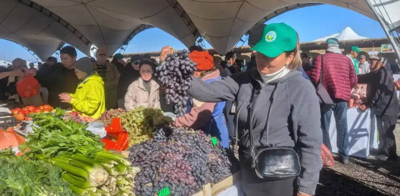 Елордада демалыс күндері ауыл шаруашылығы жәрмеңкелері басталады