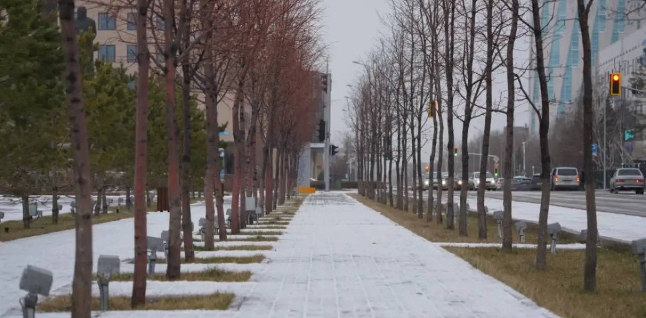 Вирустардан қорғануға арналған дезинфекциялық құралды қалай таңдауға болады