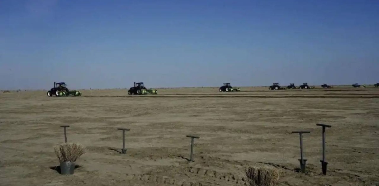 Арал теңізінің құрғаған табанына 275 мың гектар сексеуіл егіледі