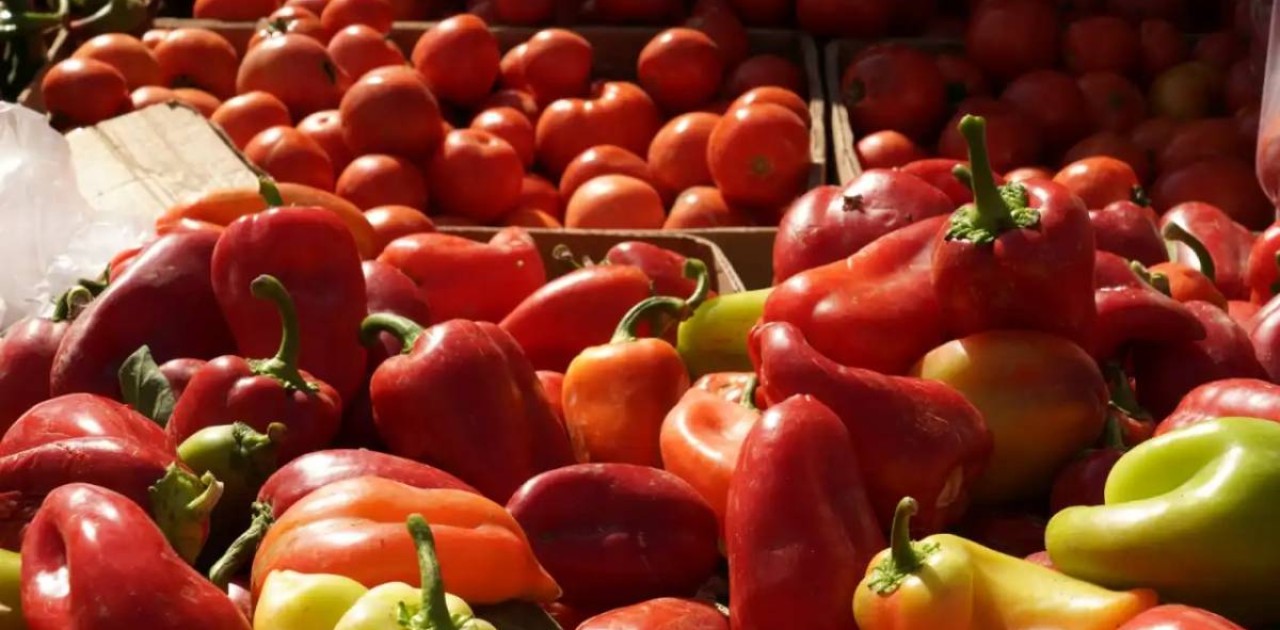 Екібастұзда «қызанақ» карантині енгізілді