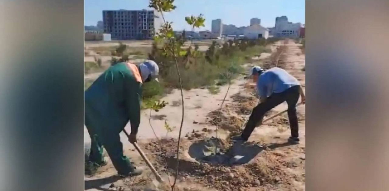 Маңғыстау облысында 160 сотталған қоғамдық жұмыстарға тартылды