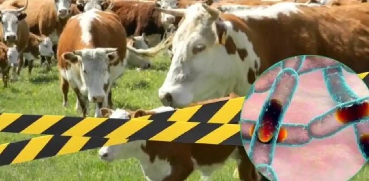 Алматы облысы Үлкен Ақсу ауылына карантин енгізіледі