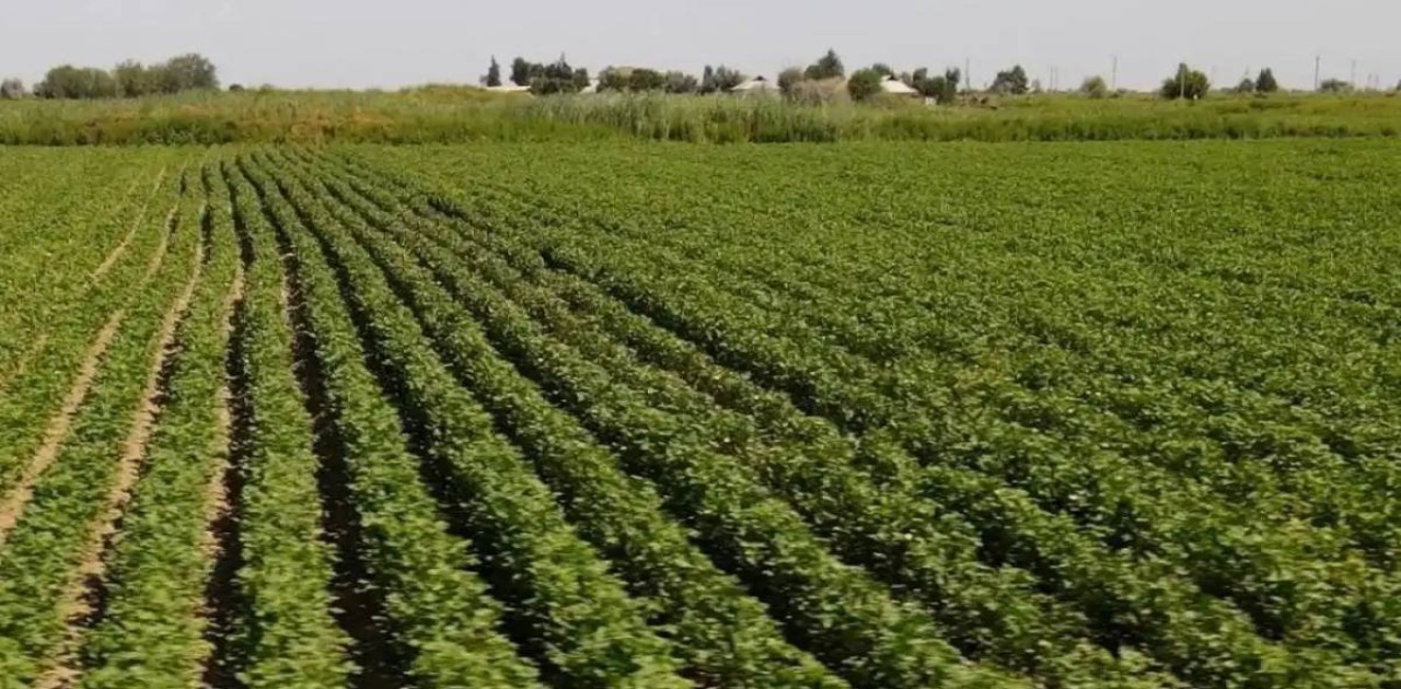 Қырғызстан Қазақстанға 534 млн текше метрден астам су жіберді